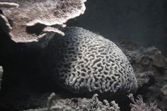 Killikus&reg; Fotographie